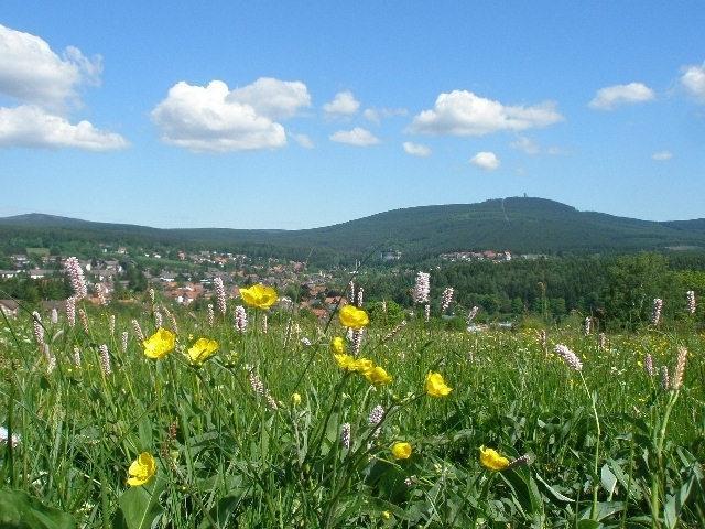 Harzpension Haus Koenigskopf Braunlage Exterior foto